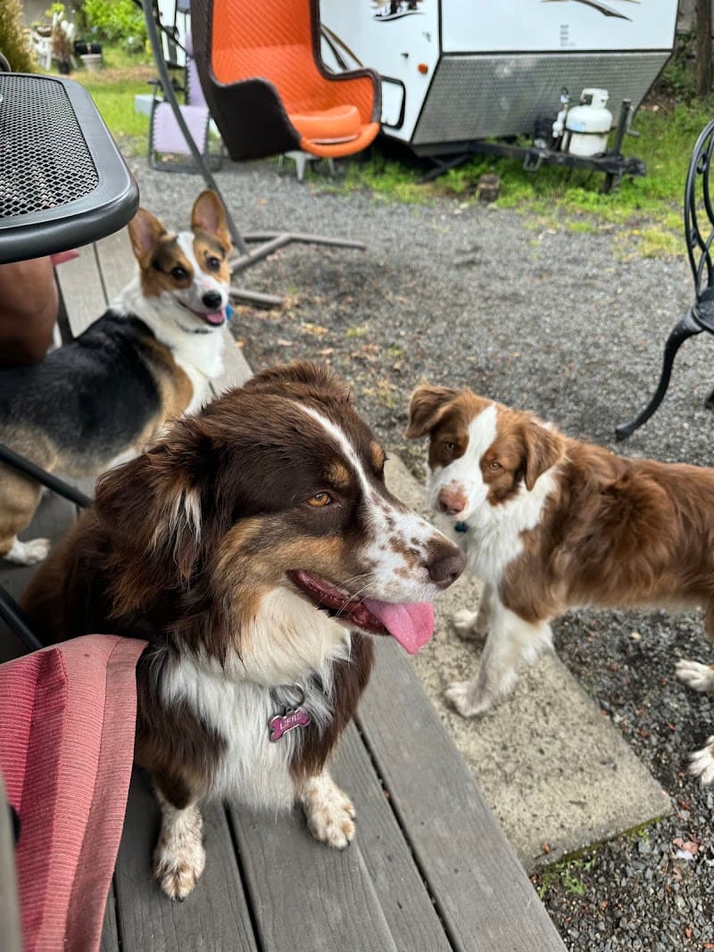 Renée's Oasis Nanaimo District photo