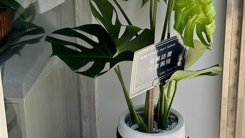 Renew Lifestyle Aesthetics Taichung City photo