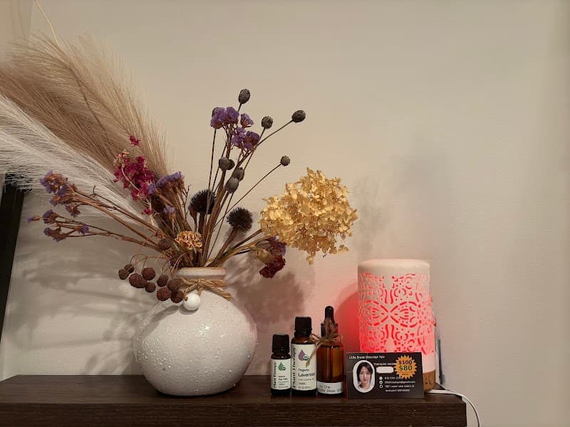 Reset Relax Massage St Louis Park photo