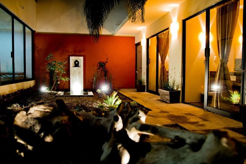 ReVidae Guadalajara photo