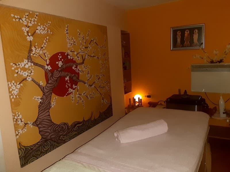 Reviva Massage Therapy Stevan Dimeski Nistakot 14 MK photo