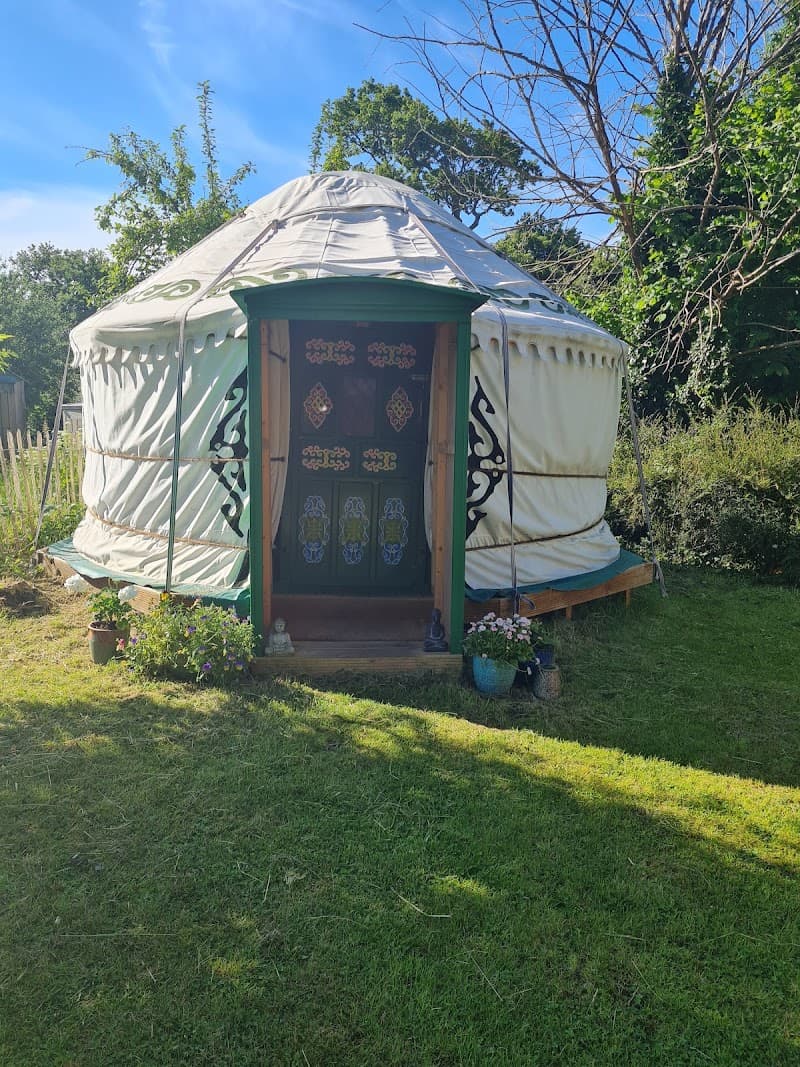 Revive Therapy Pulborough photo