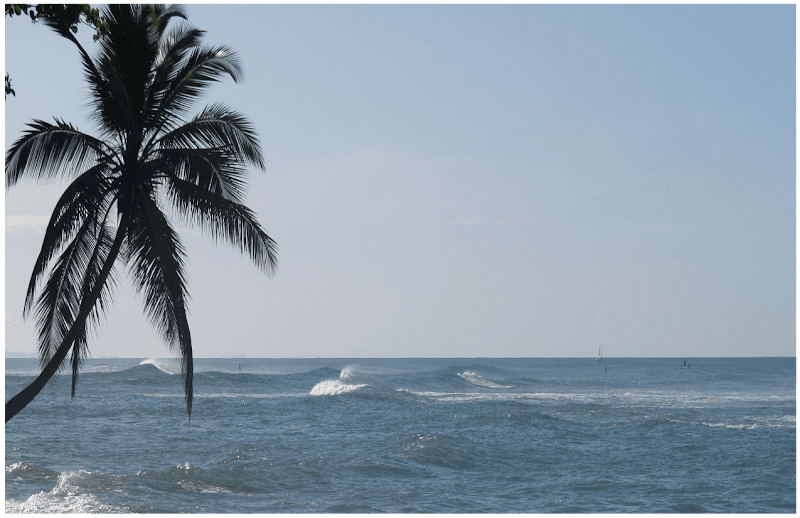 Rincon Massage Therapy & Holisitic Health Rincón photo