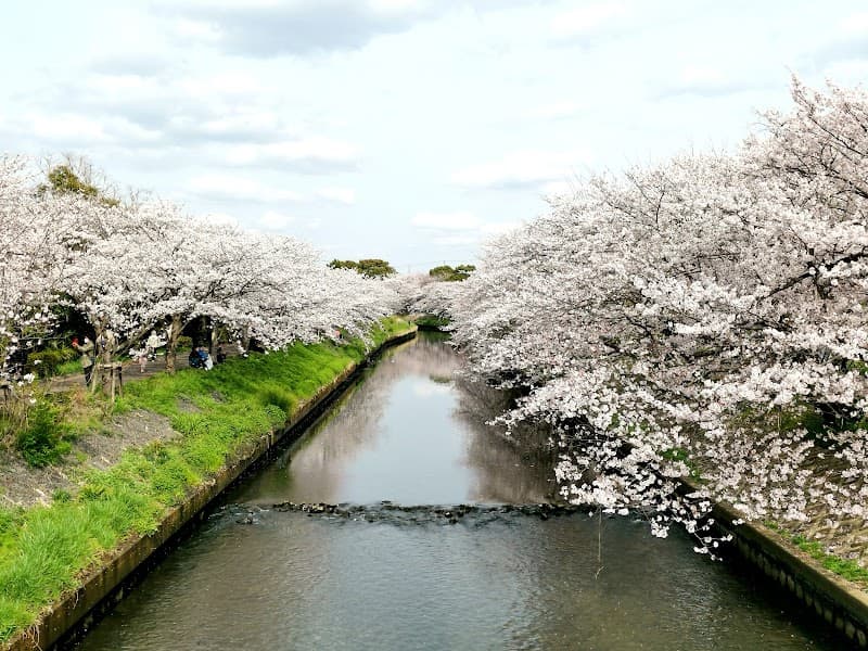 Rirakuze Funabashi City photo