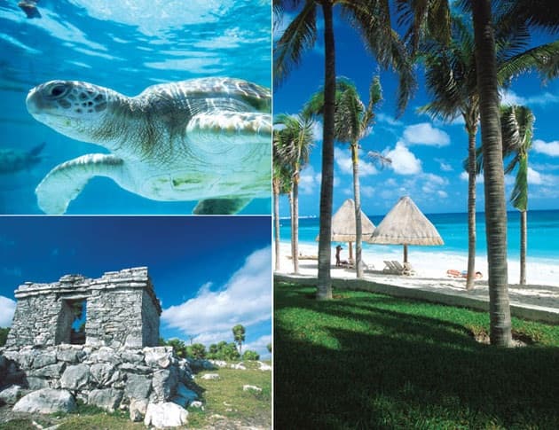 Riviera Maya Magica | Playa del Carmen photo