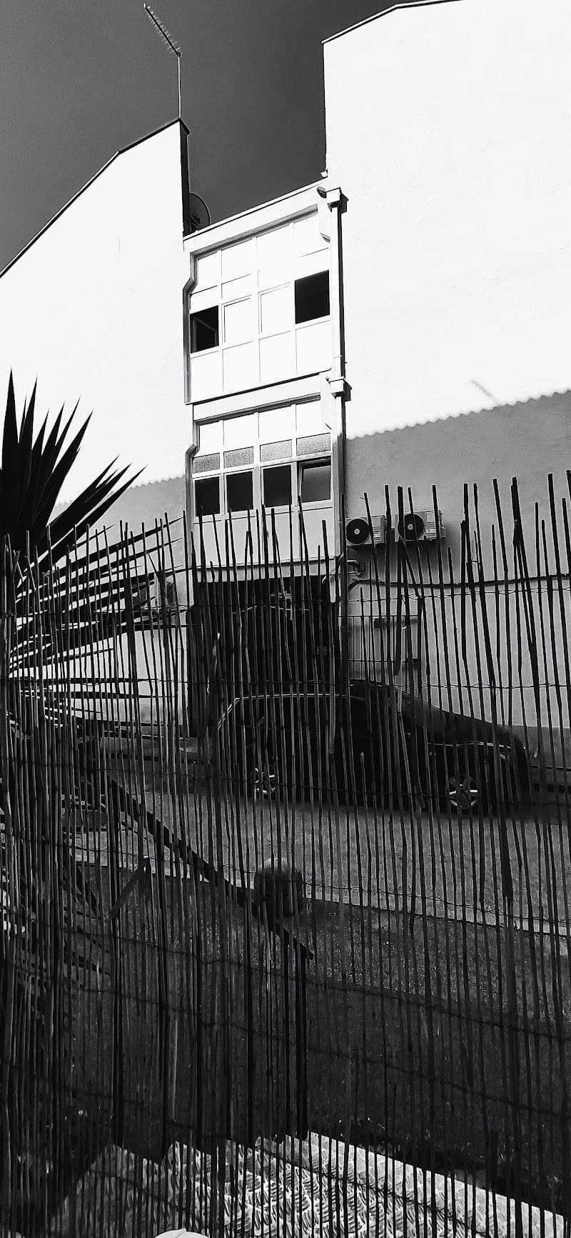 Rivijera Tende Biograd na Moru photo