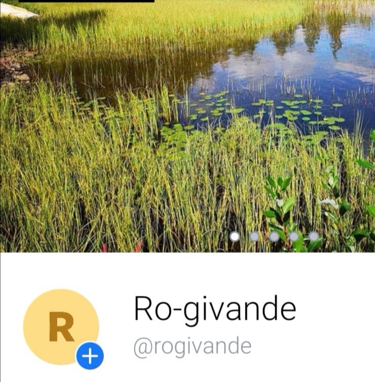 Ro-givande Umeå photo