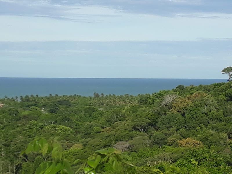 Roberto Carozo Massoterapia Porto Seguro photo