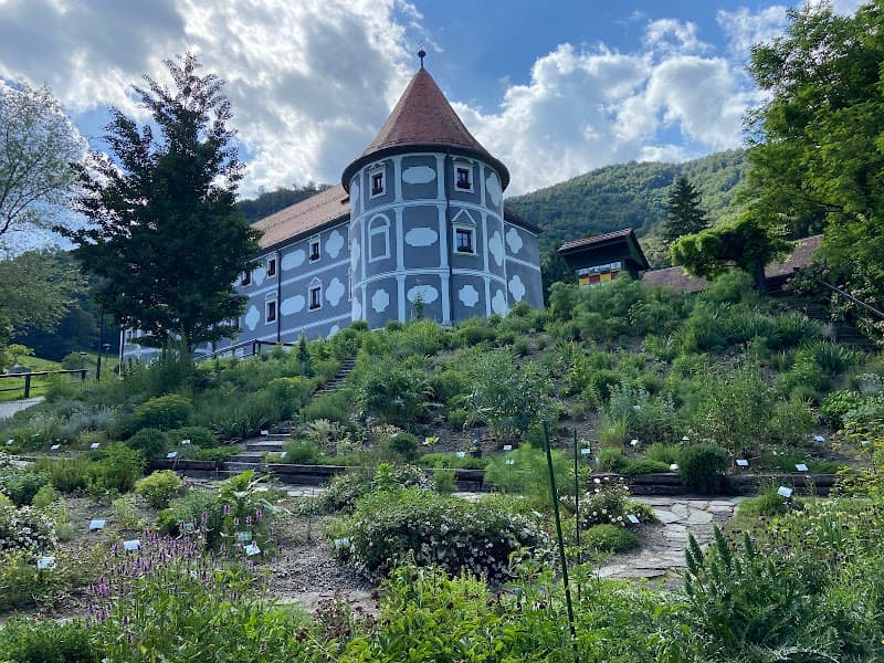ROI Medico & Spa Rogaška Slatina photo