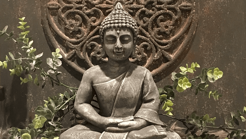 Roos Ontspanningsmassage Anna Paulowna photo