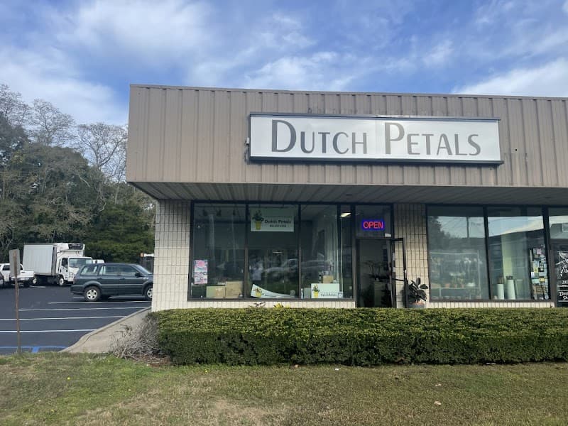 Rootz and Flowers Southampton photo