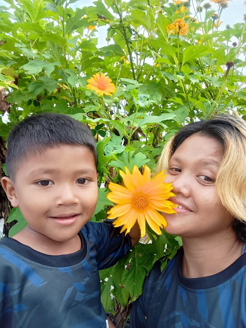 Rosella Violet Wellness Nilai photo