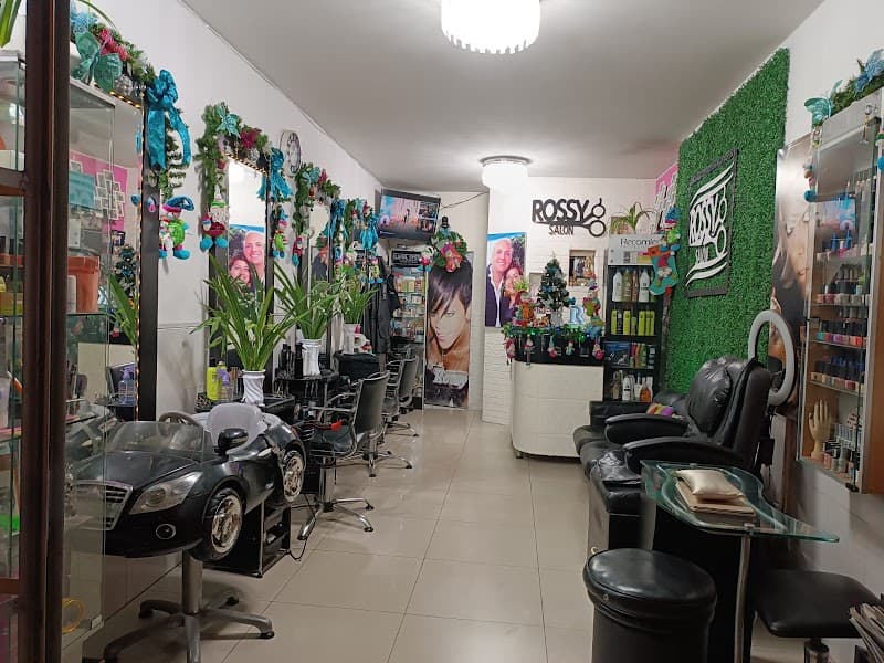 Rossie Saloon Spa Santa Anita photo