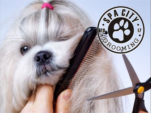 Roumpos Spa City & Grooming Kalamata photo