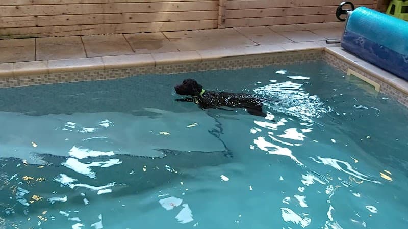 Roundstone Hydrotherapy Littlehampton photo