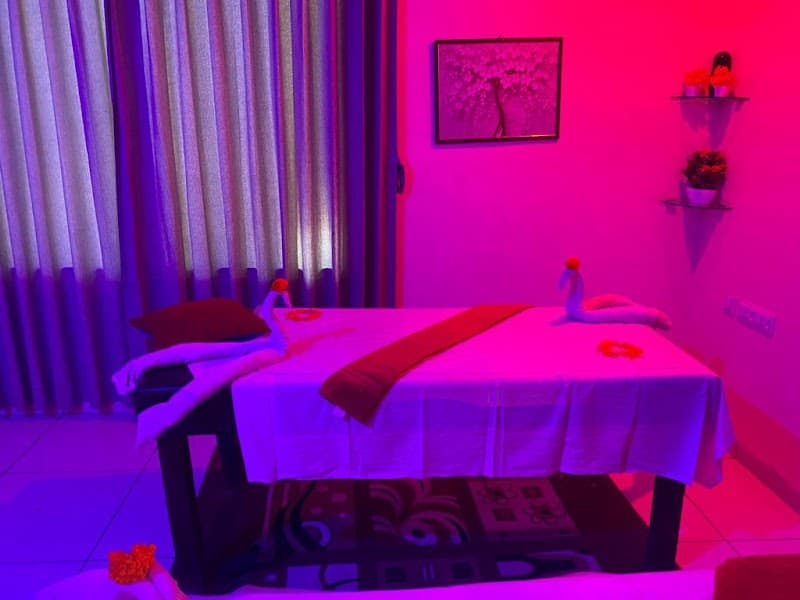 Royal Akshayam Spa Jaipur photo