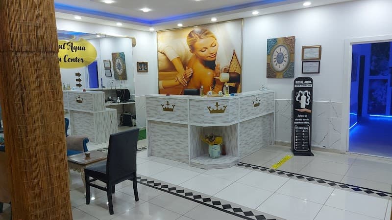Royal Aqua Spa Center Yenişehir photo