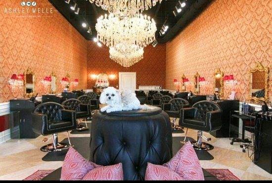 Royal Oak Salon & Spa Edmond photo