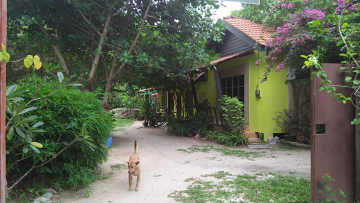 Rumah Holistic Kuah photo