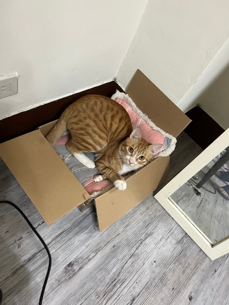 Ruo.beautysalon Taichung City photo