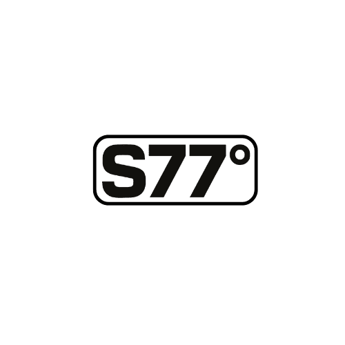 S.77 Kaunas photo