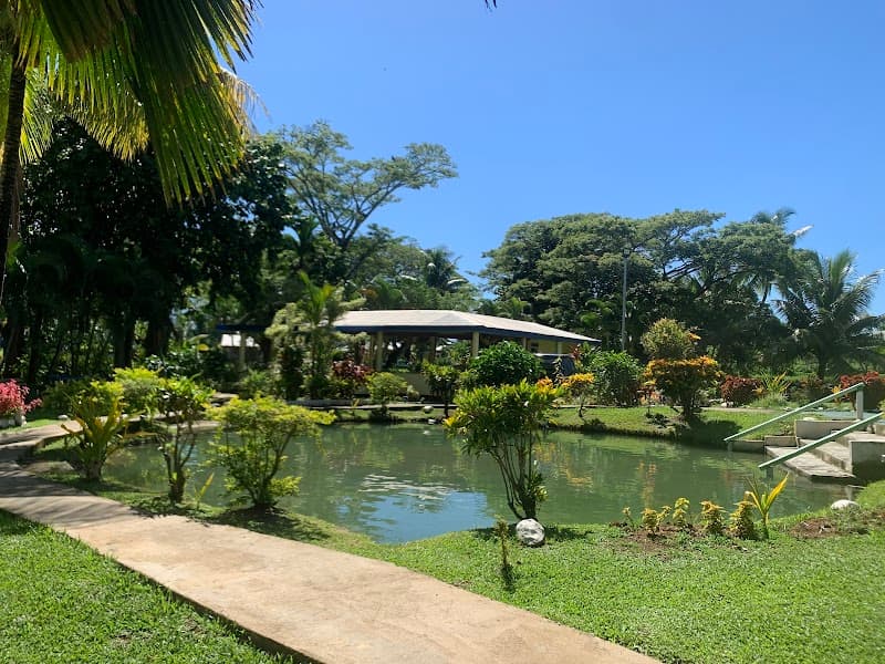 Sabeto Hot Spring and Mud Pool Nadi photo