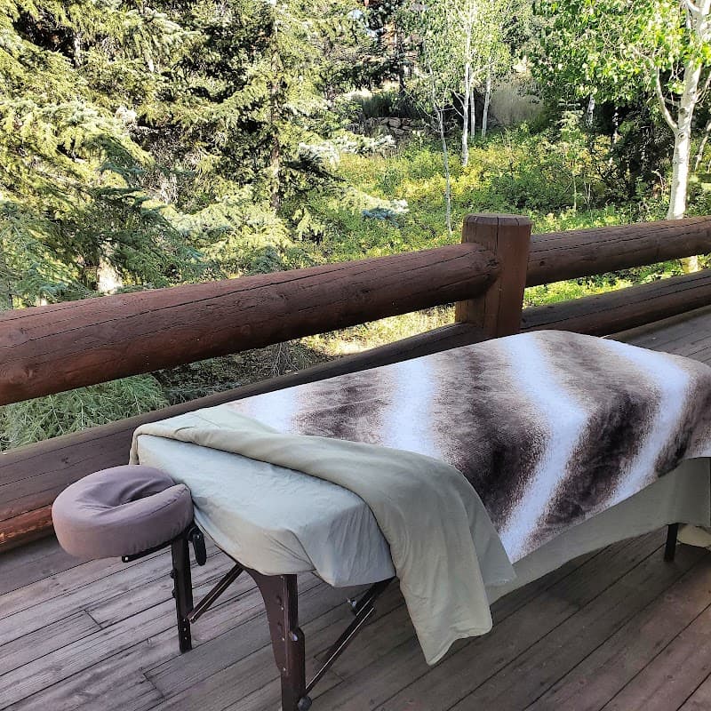 Sacred Mountain Bodyworks Tiger photo