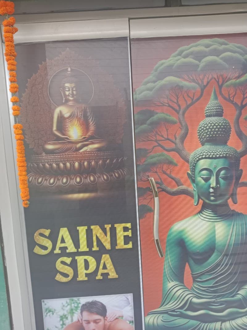 Saine Spa & Salon - Bansi Naugarh photo