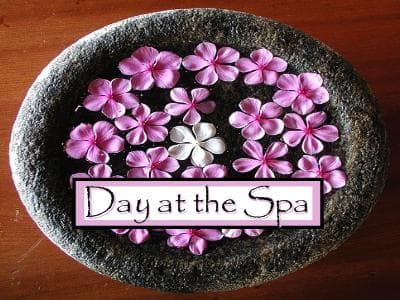 Saisir Le Jour Day Spa Bridge City photo