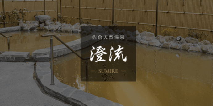 Sakura Natural Hot Spring Sumiru Sakura City photo