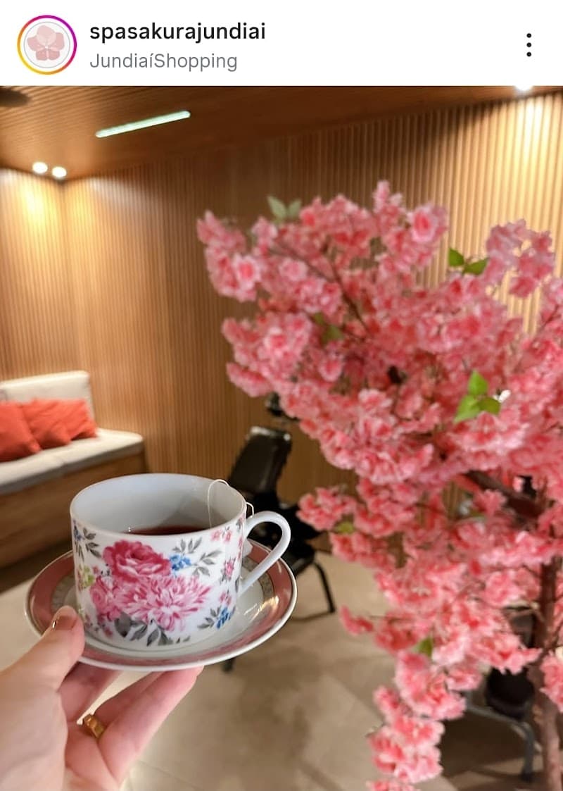 Sakura Spa Campos dos Goytacazes photo