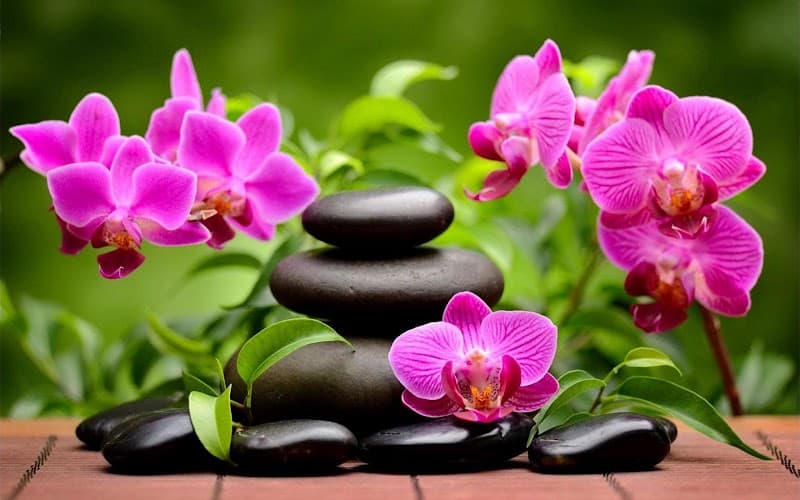 Sakura Spa Pokhara photo