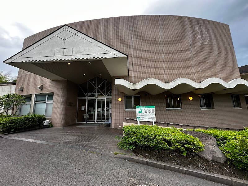 Sakurajima Shirahama Onsen Center Kagoshima photo