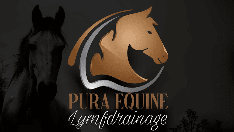 Salineras zouttherapie & sportmassage voor paarden Eersel photo