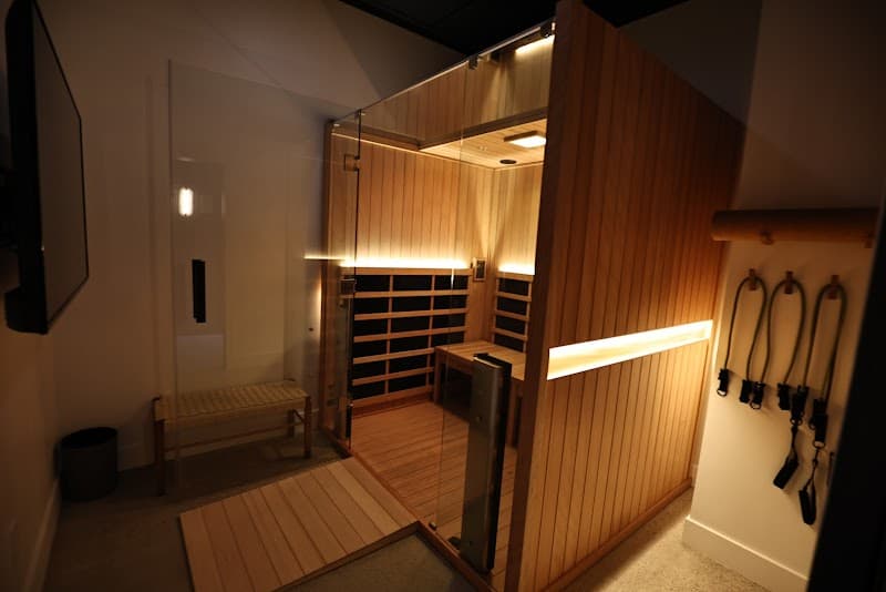 Salix Sauna and Wellness Suites Saginaw photo
