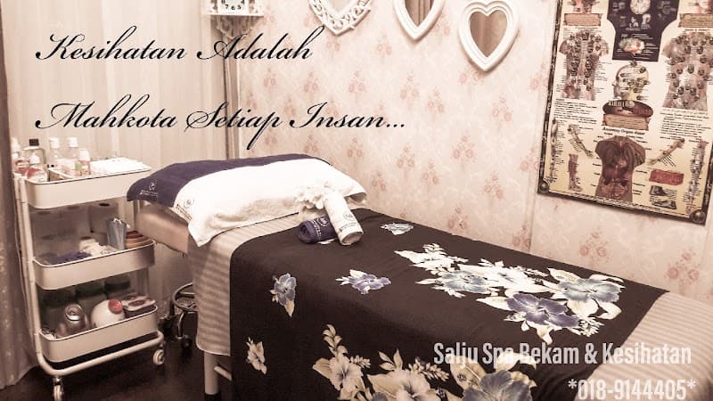 Salju Mobile Spa & Bekam Puchong photo