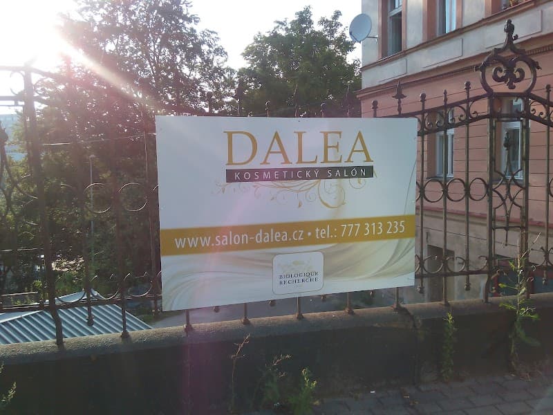 Salon Dalea Liberec photo