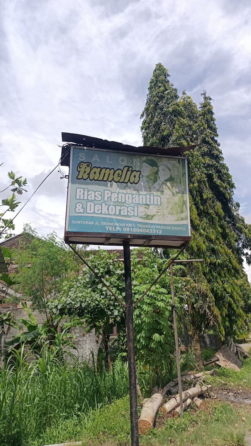 Salon Kamelia Bantul photo