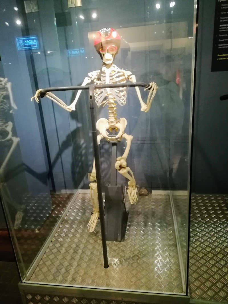 Salon Magiya Zelenogradsky District photo