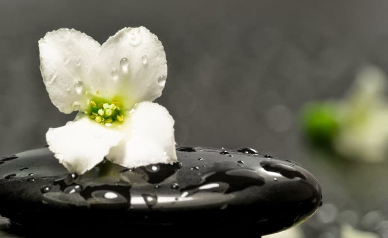 Salon Mohvi & Spa Lincoln photo