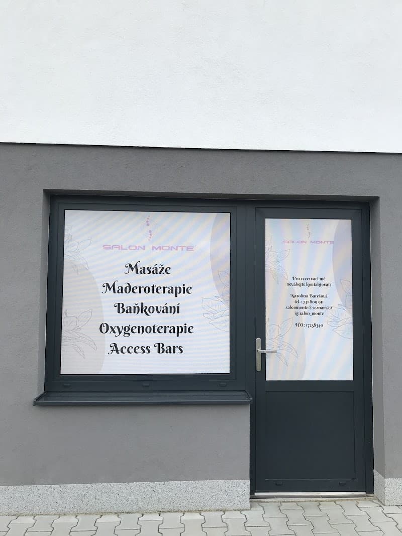 Salon Monte Mnichovo Hradiště photo