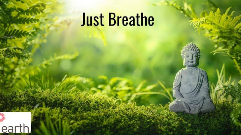 Salt of the Earth Therapeutic Spa Woodbury photo