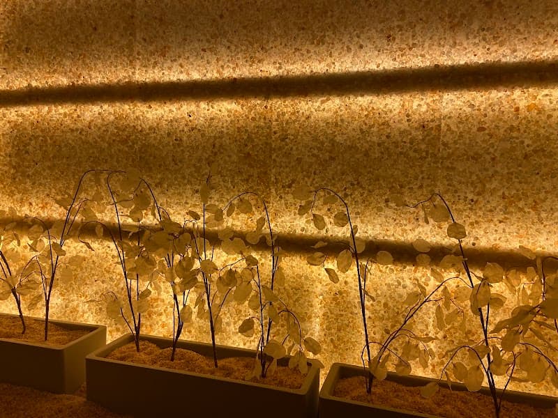 Salti North Richland Hills photo