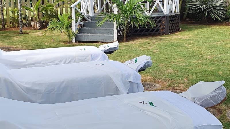 Samambaia Holistic Mobile Spa Ocho Rios photo