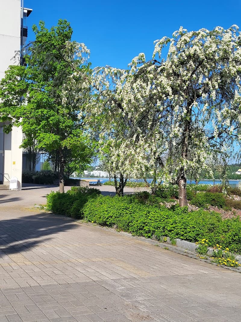 Sammalkämmen - Kalevalainen jäsenkorjaaja Osma Naukkarinen Jyväskylä photo