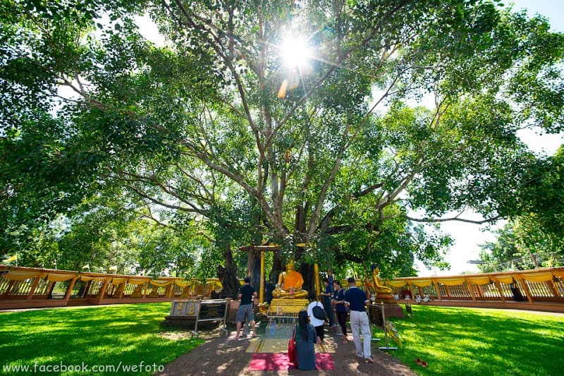 Sampat Sabai Si Maha Phot photo