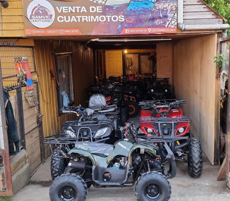 SamVic Motors SpA Los Ángeles photo