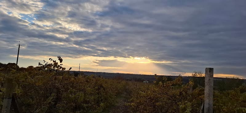 Sanatoriul Struguraș Molovata Nouă photo
