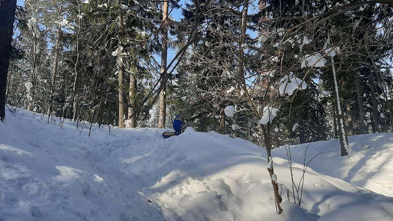 Sanatorium Metallurg Izhevsk photo