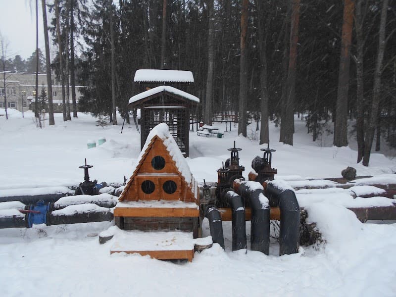 Sanatorium Obolsunovo Teikovsky District photo